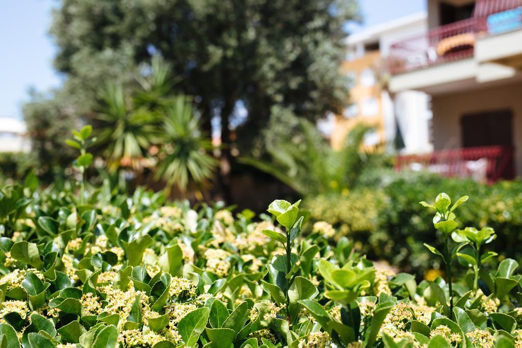 S'Arena Bianca Apartment Alghero Eksteriør bilde