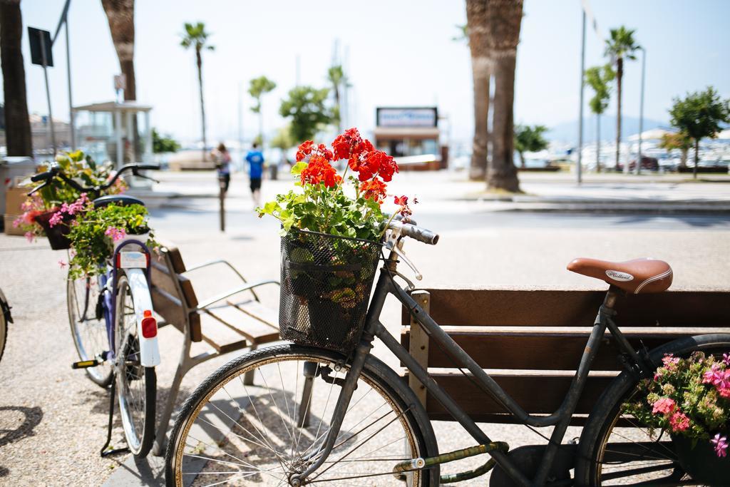 S'Arena Bianca Apartment Alghero Rom bilde